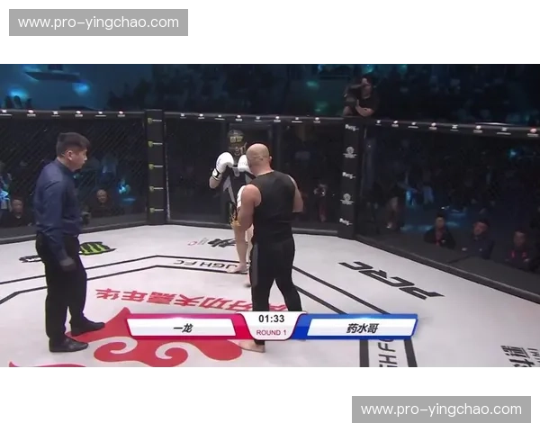 巅峰对决:一龙vs.小泉龙,谁能问鼎武林之巅?